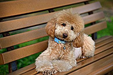 心理惊悚游戏《洛蕾塔》2月16日登陆PC平台